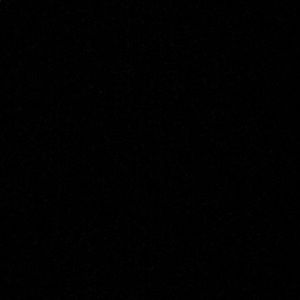 Meet your Posher, Chelsea